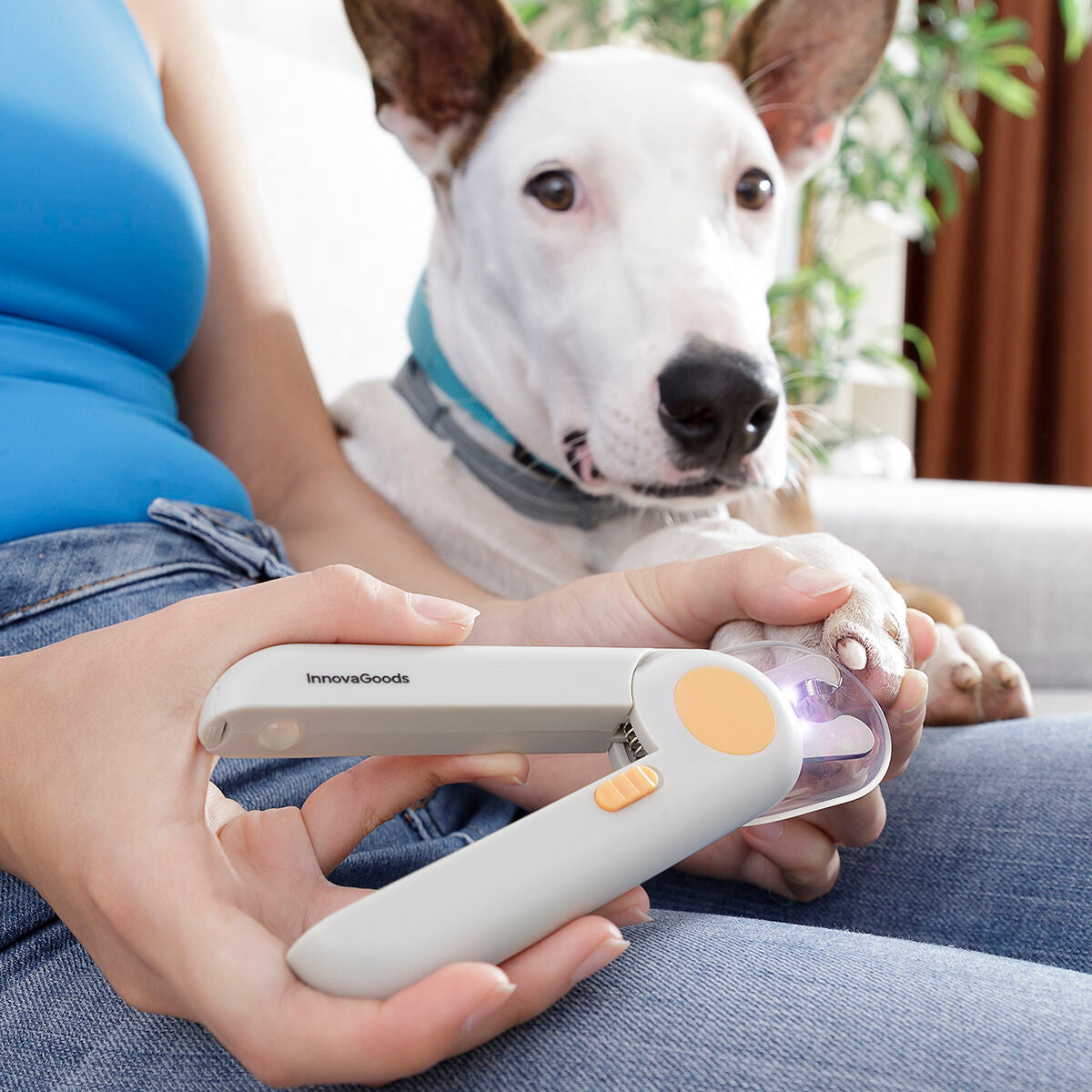 Cortaúñas para Mascotas con Luz LED