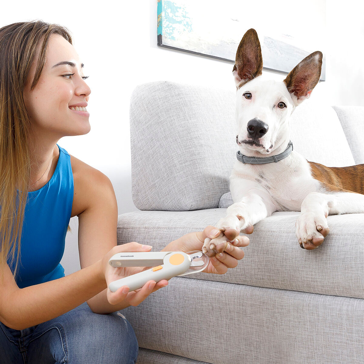 Cortaúñas para Mascotas con Luz LED